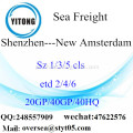 Mar de Porto de Shenzhen transporte de mercadorias para Nova Amsterdã